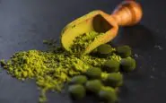 alga spirulina