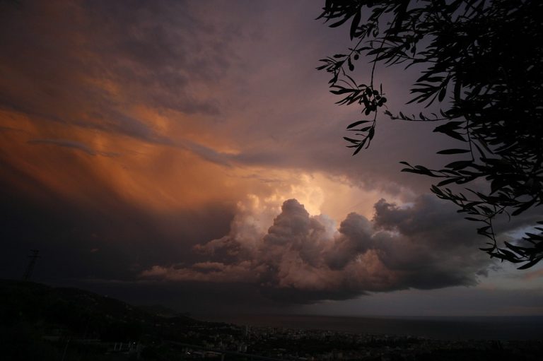 allerta meteo