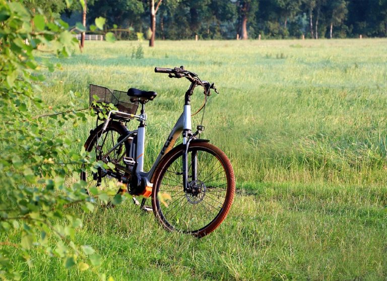 bicicletta elettrica