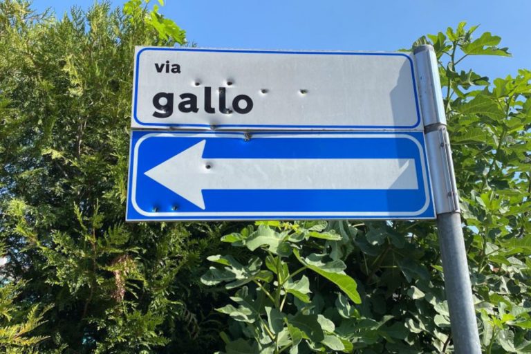 bimbo colpito proiettile brescia