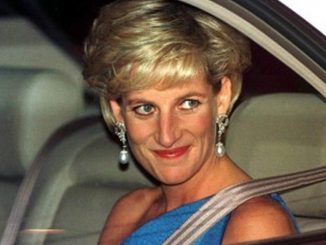 Lady Diana limousine incidente
