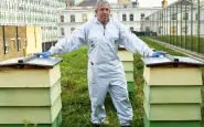 John Chapple, apicoltore a Buckingham Palace