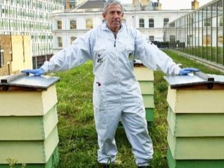 John Chapple, apicoltore a Buckingham Palace