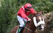 Jack de Bromhead