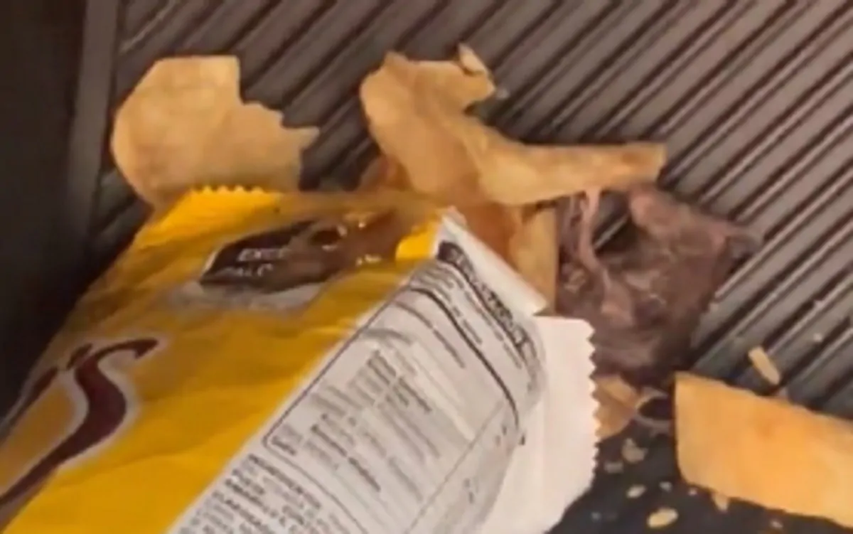 Il topo morto fuoriuscito dal pacchetto di patatine