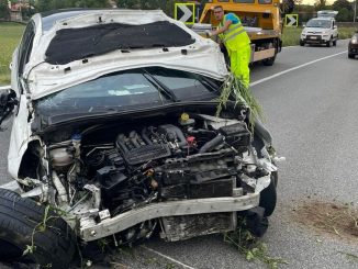 Borgofranco d'Ivrea, auto contro cinque cinghiali: 25enne vivo per miracolo