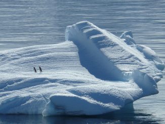 Al Polo Nord trovati virus "giganti"