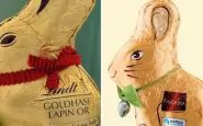 I due tipi di coniglietto comparati