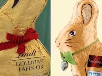 I due tipi di coniglietto comparati