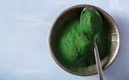 alga spirulina