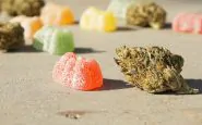 I dolciumi con droga fra gli ingredienti sono reperibili molto facilmente online