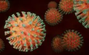 Si registra una netta risalita dei casi covid in età scolare