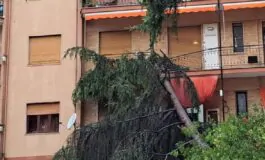 L'albero spezzato in due a via Irno