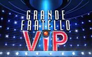 GF Vip