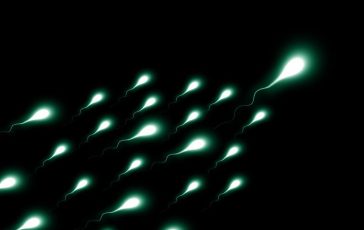 La preoccupante analisi pubblicata da Human Reproduction: spermatozoi dimezzati negli ultimi 50 anni