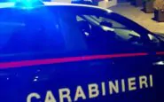 Un ladro di auto ha morso un carabiniere