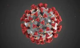 coronavirus