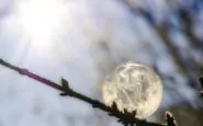 Ci attende un meteo molto atipico