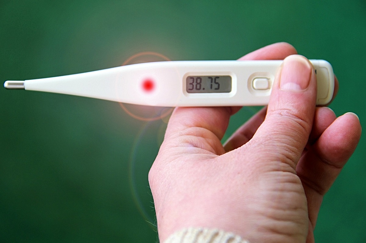 Influenza australiana, l'Ordine dei Medici &quot;Siamo già a livelli che