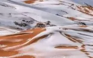 Neve Sahara