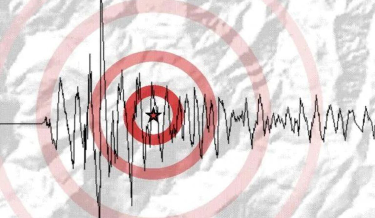Terremoto de magnitud 6,6 en Argentina: zonas afectadas