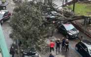 albero caduto a Napoli