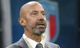 vialli 265x160