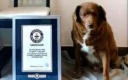 Bobi con il certificato del Guiness