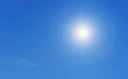 Sole
