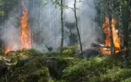 Incendi in Cile: almeno 24 morti e oltre 1000 feriti