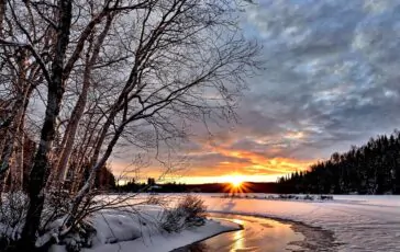 paesaggio invernale
