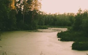fiume