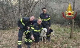 vigile del fuoco salva cane