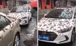 Tempesta di "vermi" a Pechino: ecco cos'è accaduto e le prime ipotesi