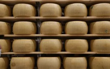 Parmigiano Reggiano forme sequestrate