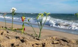 Rinvenuta l'89ma vittima della strage in mare a Cutro