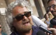 Grillo