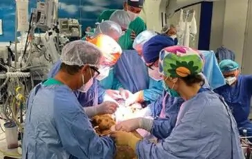 L'equipe impegnata nel difficile intervento chirurgico