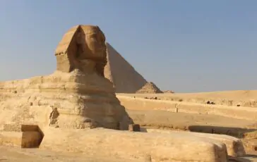 la grande sfinge scolpita nella roccia calcarea attorno al 2500 ac al tempo del faraone chefren che pare lo rappresenti 364x230