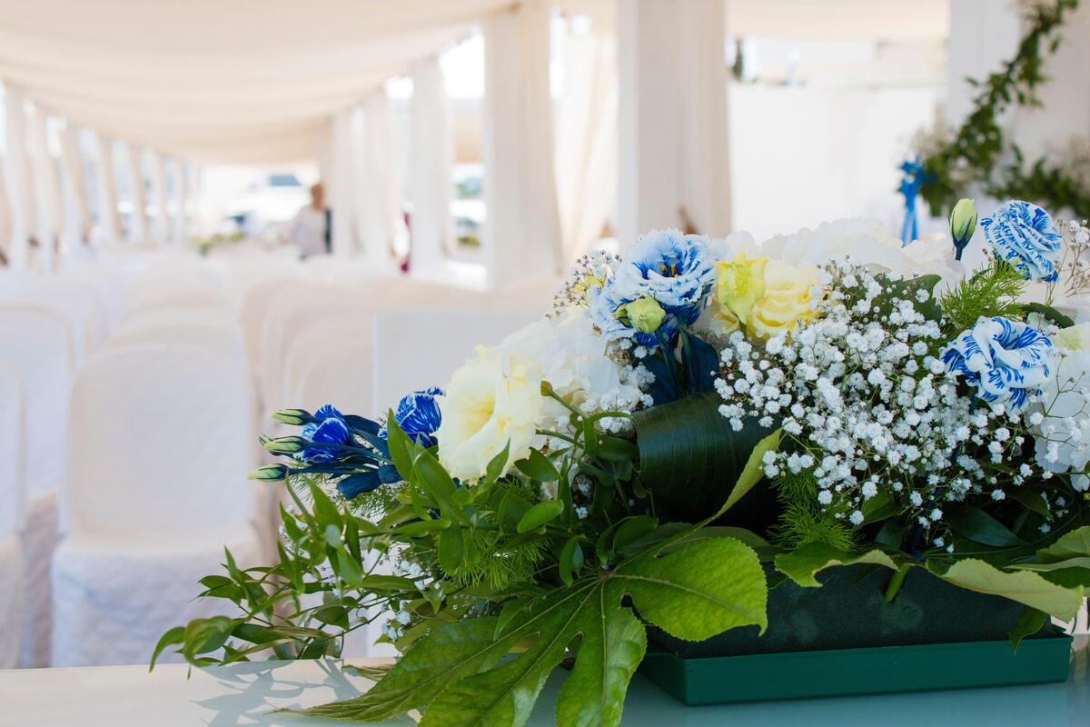 Photo of The photographer insults the guests