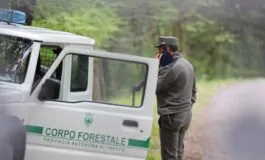 Corpo forestale Provincia autonoma di Trento