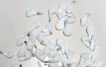 Nell'auto dell'uomo c'erano 3 milioni di cocaina