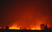 Un'auto attraversa un incendio nell'Alberta, Canada