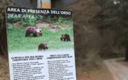 Andrea Papi ucciso nei boschi dall’orsa JJ4 genitori haters