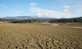 cambiamenti climatici