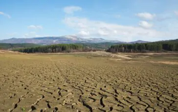 cambiamenti climatici