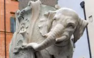 L'Elefante di Bernini danneggiato in piazza della Minerva a Roma