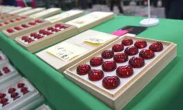 Confezione di ciliegie di Aomori come cioccolatini pregiati