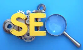 what is seo 265x160