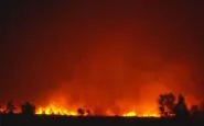 incendi in Algeria